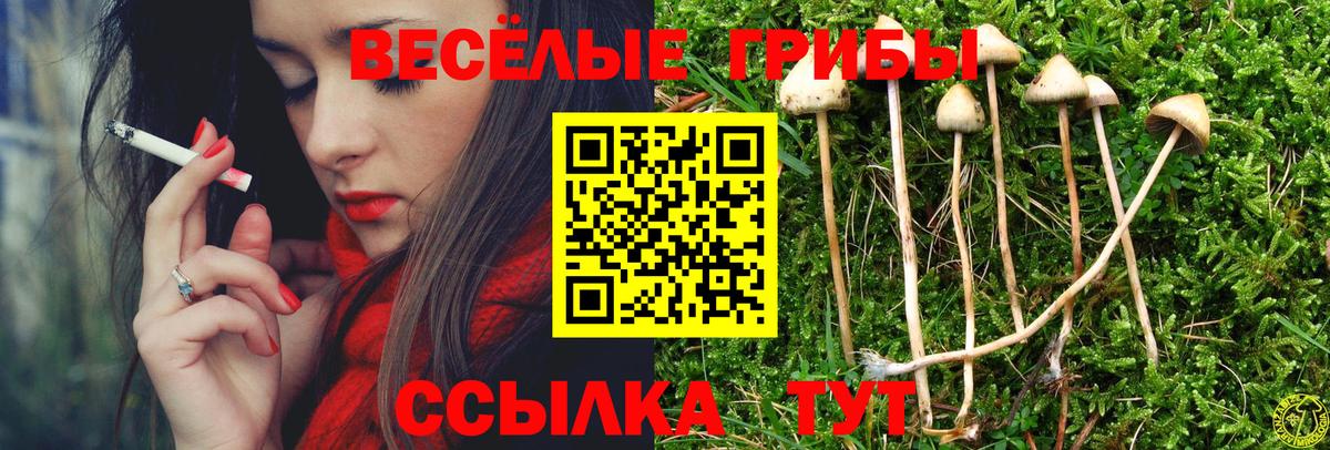 Галлюциногенные грибы MAGIC MUSHROOMS  Вход с VPN  Вичуга 
