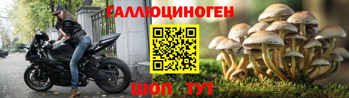 Галлюциногенные грибы мицелий Вичуга